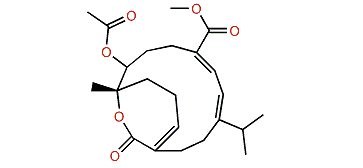 Sarcrassin D